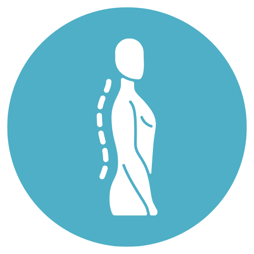 posture lyon 6