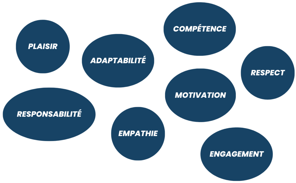 schema de valeurs xavier mosimann coach lyon